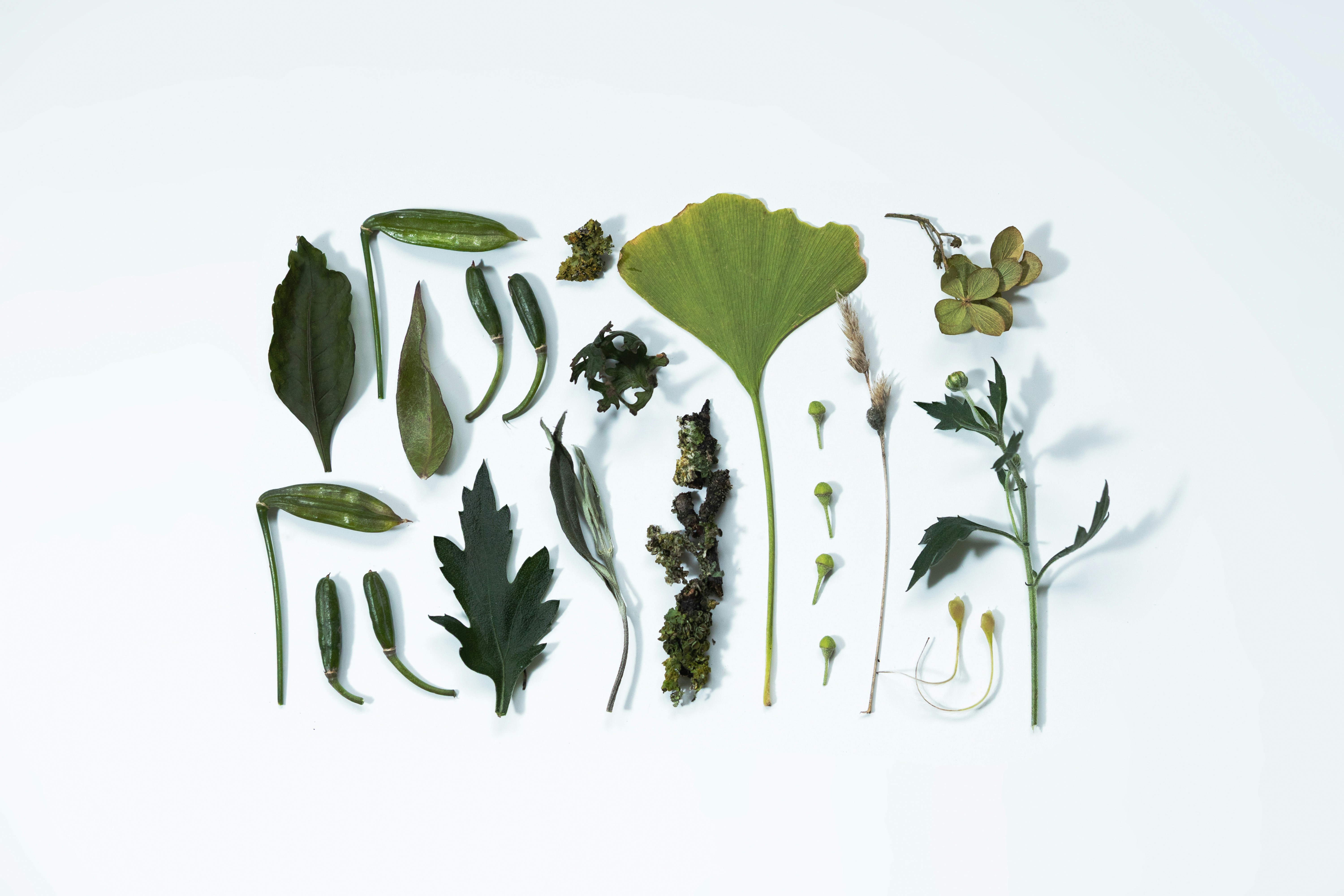 Natural skincare ingredients